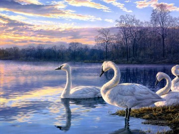 花 鳥 Painting - 白鳥の湖の夕日の風景鳥